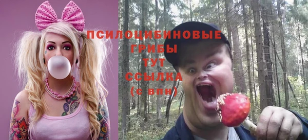 apvp Аркадак