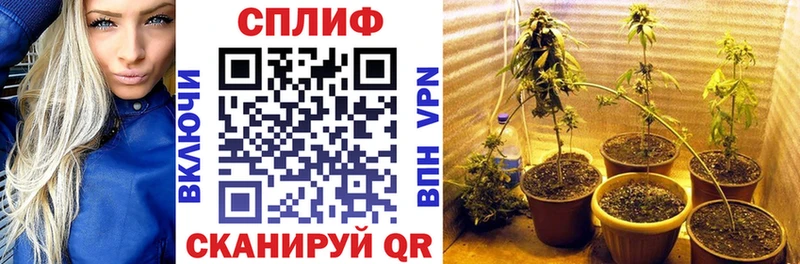 купить закладку  блэк спрут рабочий сайт  Конопля Bruce Banner  Усолье 
